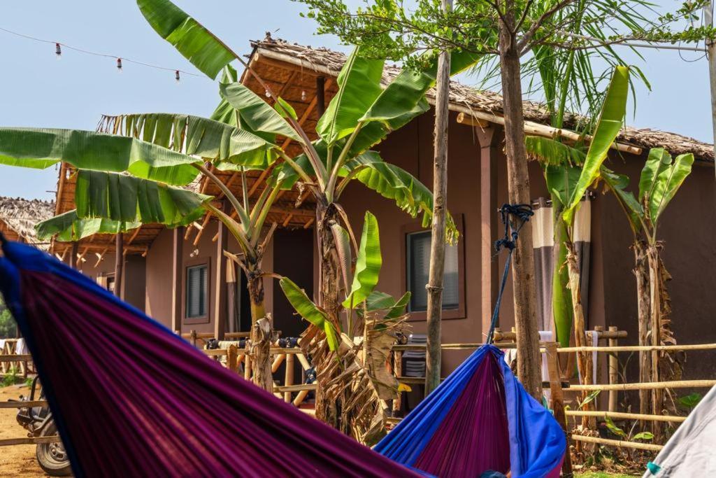 Hippie Land Nature * Hampi