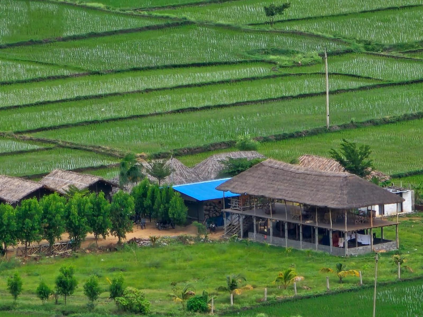 गेस्ट हाउस Hippie Land Nature