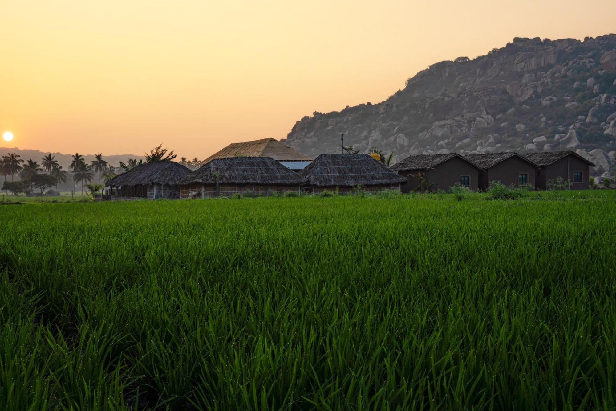 Hippie Land Nature गेस्ट हाउस *