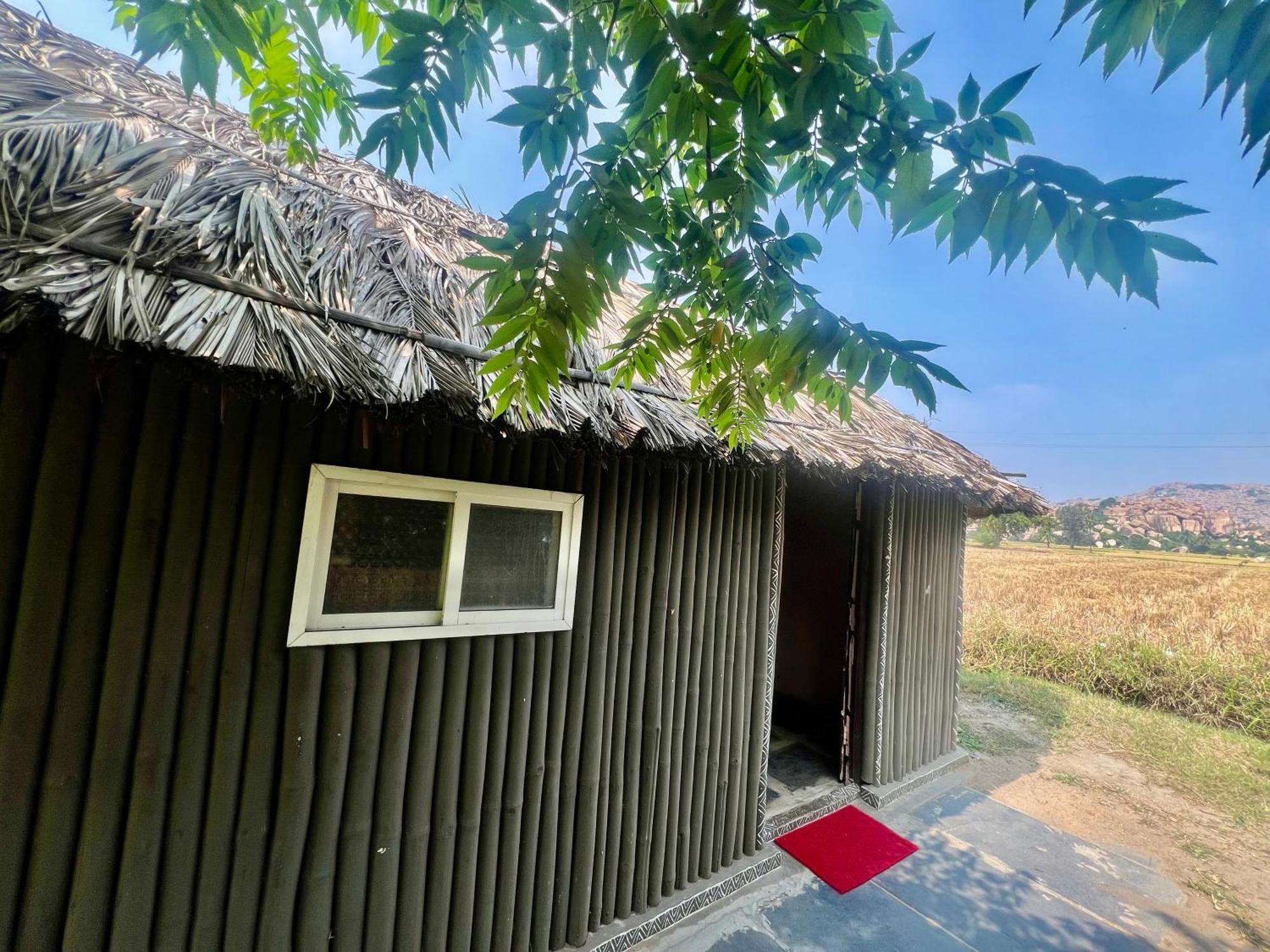 Hippie Land Nature Hampi